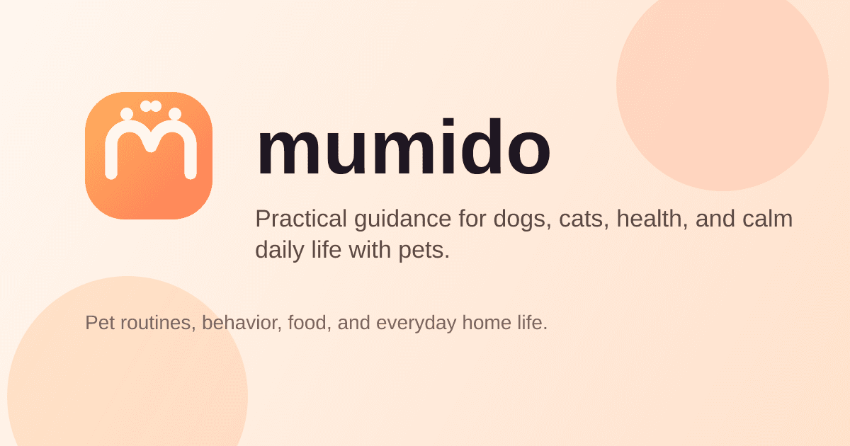 Prima settimana con un cane